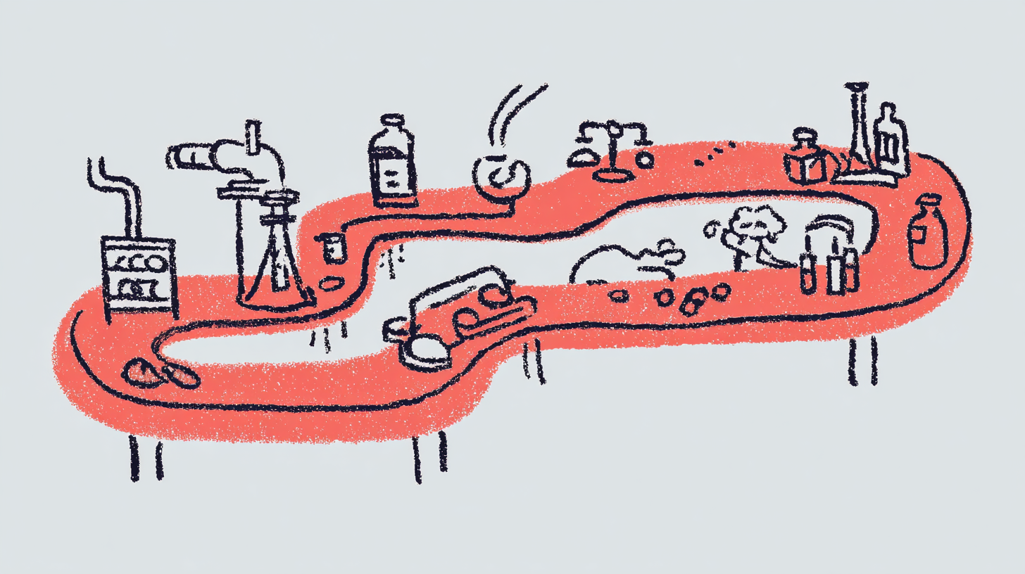 Implementation Partnerships